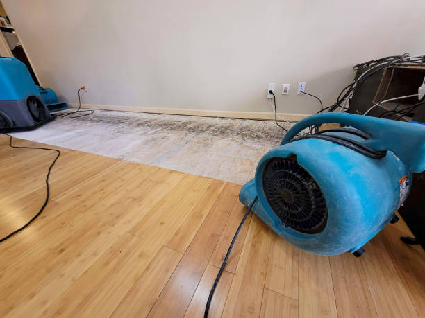 Professional Sewage Cleanup technician working in Truxton, MO